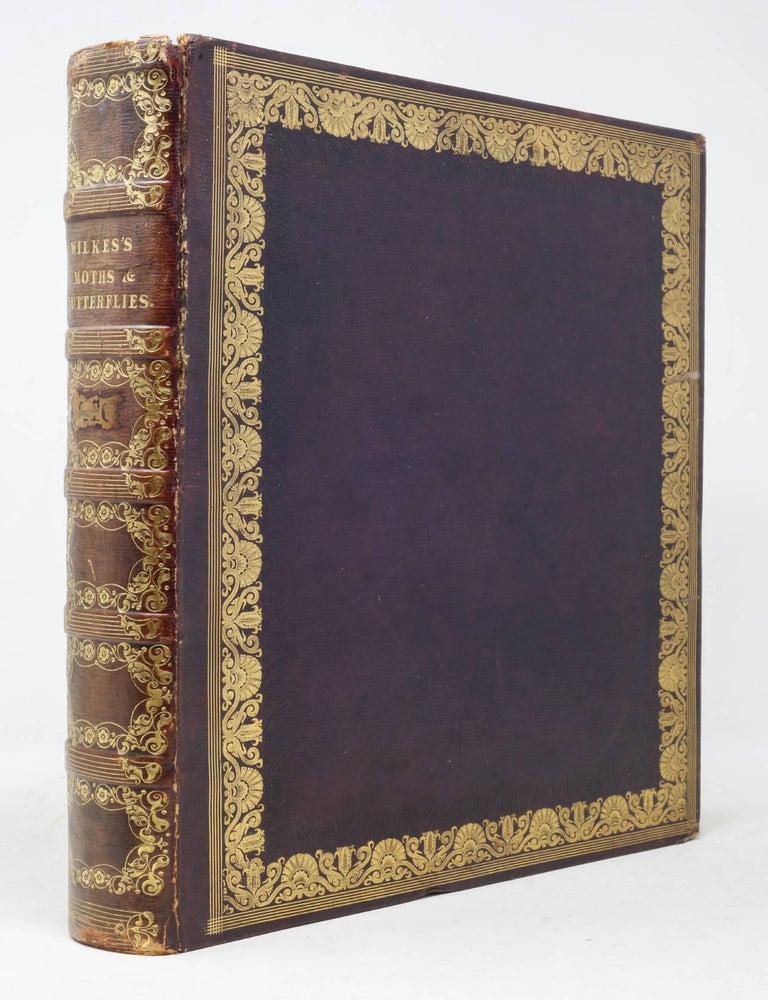 Item #6JLR0033 One Hundred and Twenty Copper-Plates of English Moths and Butterflies, representing Their Changes into the Caterpillar, Chrysalis and Fly States, and The Plants, Flowers, and Fruits whereon they feed&hellip;. Benjamin Wilkes.