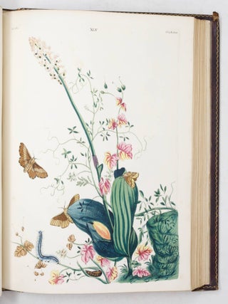 One Hundred and Twenty Copper-Plates of English Moths and Butterflies, representing Their Changes into the Caterpillar, Chrysalis and Fly States, and The Plants, Flowers, and Fruits whereon they feed&hellip;