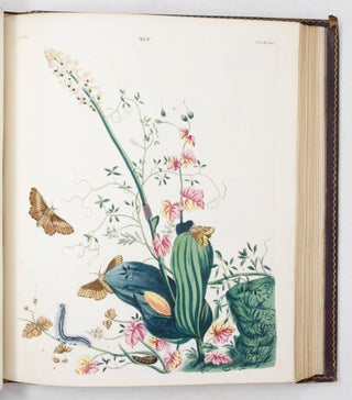 One Hundred and Twenty Copper-Plates of English Moths and Butterflies, representing Their Changes into the Caterpillar, Chrysalis and Fly States, and The Plants, Flowers, and Fruits whereon they feed…