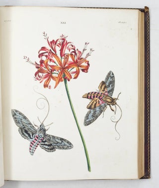One Hundred and Twenty Copper-Plates of English Moths and Butterflies, representing Their Changes into the Caterpillar, Chrysalis and Fly States, and The Plants, Flowers, and Fruits whereon they feed…