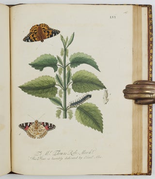 A Natural History of English Insects. Illustrated with A Hundred Copper Plates, Curiously engraven from the Life, and exactly coloured by the Author. To which are added Large Notes and many curious Observations