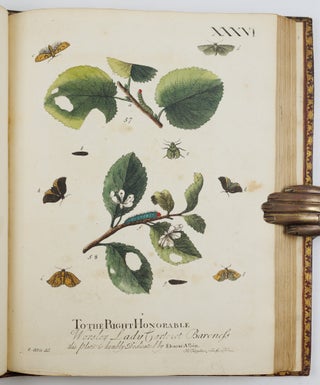 A Natural History of English Insects. Illustrated with A Hundred Copper Plates, Curiously engraven from the Life, and exactly coloured by the Author. To which are added Large Notes and many curious Observations