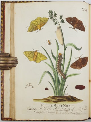 A Natural History of English Insects. Illustrated with A Hundred Copper Plates, Curiously engraven from the Life, and exactly coloured by the Author. To which are added Large Notes and many curious Observations