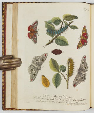 A Natural History of English Insects. Illustrated with A Hundred Copper Plates, Curiously engraven from the Life, and exactly coloured by the Author. To which are added Large Notes and many curious Observations