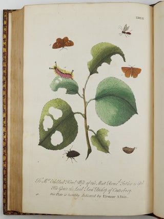 A Natural History of English Insects. Illustrated with A Hundred Copper Plates, Curiously engraven from the Life, and exactly coloured by the Author. To which are added Large Notes and many curious Observations