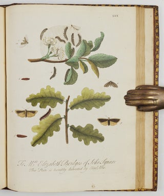 A Natural History of English Insects. Illustrated with A Hundred Copper Plates, Curiously engraven from the Life, and exactly coloured by the Author. To which are added Large Notes and many curious Observations