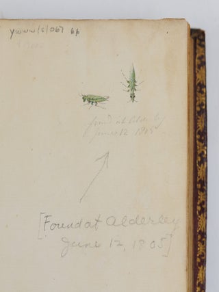 A Natural History of English Insects. Illustrated with A Hundred Copper Plates, Curiously engraven from the Life, and exactly coloured by the Author. To which are added Large Notes and many curious Observations