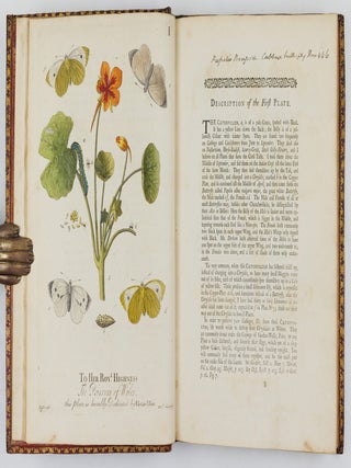 A Natural History of English Insects. Illustrated with A Hundred Copper Plates, Curiously engraven from the Life, and exactly coloured by the Author. To which are added Large Notes and many curious Observations