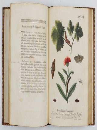 A Natural History of English Insects. Illustrated with A Hundred Copper Plates, Curiously engraven from the Life, and exactly coloured by the Author. To which are added Large Notes and many curious Observations