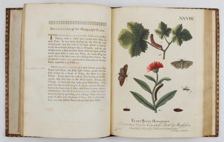 A Natural History of English Insects. Illustrated with A Hundred Copper Plates, Curiously engraven from the Life, and exactly coloured by the Author. To which are added Large Notes and many curious Observations