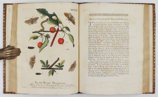 A Natural History of English Insects. Illustrated with A Hundred Copper Plates, Curiously engraven from the Life, and exactly coloured by the Author. To which are added Large Notes and many curious Observations