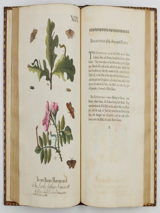 A Natural History of English Insects. Illustrated with A Hundred Copper Plates, Curiously engraven from the Life, and exactly coloured by the Author. To which are added Large Notes and many curious Observations