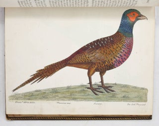 A Natural History of Birds. Illustrated With a Hundred and one Copper Plates, Curiously Engraven from the Life. Published by the Author… and carefully colour’d by his Daughter and Self, from the Originals, drawn from the live Birds