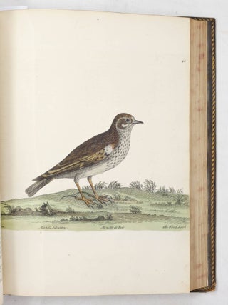 A Natural History of Birds. Illustrated With a Hundred and one Copper Plates, Curiously Engraven from the Life. Published by the Author&hellip; and carefully colour&rsquo;d by his Daughter and Self, from the Originals, drawn from the live Birds