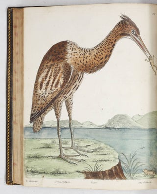 A Natural History of Birds. Illustrated With a Hundred and one Copper Plates, Curiously Engraven from the Life. Published by the Author… and carefully colour’d by his Daughter and Self, from the Originals, drawn from the live Birds