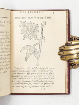 Histoire des plantes, nouuellement trouu&eacute;es en l&rsquo;Isle Virgine, & autres lieux, lesquelles ont est&eacute; prises & cultiu&eacute;es au Iardin de Monsieur Robin Arboriste du Roy. Non encore veu&euml;s n&rsquo;y Imprim&eacute;es par cy deuant. Dedi&eacute; &agrave; Monsieur Morand