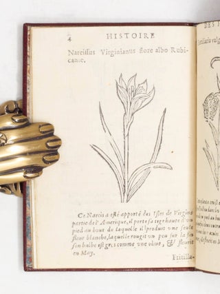 Histoire des plantes, nouuellement trouu&eacute;es en l&rsquo;Isle Virgine, & autres lieux, lesquelles ont est&eacute; prises & cultiu&eacute;es au Iardin de Monsieur Robin Arboriste du Roy. Non encore veu&euml;s n&rsquo;y Imprim&eacute;es par cy deuant. Dedi&eacute; &agrave; Monsieur Morand