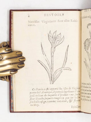 Histoire des plantes, nouuellement trouuées en l’Isle Virgine, & autres lieux, lesquelles ont esté prises & cultiuées au Iardin de Monsieur Robin Arboriste du Roy. Non encore veuës n’y Imprimées par cy deuant. Dedié à Monsieur Morand