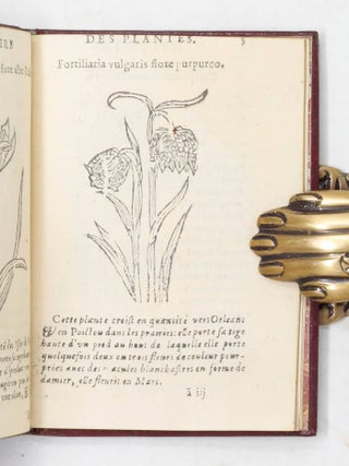 Histoire des plantes, nouuellement trouu&eacute;es en l&rsquo;Isle Virgine, & autres lieux, lesquelles ont est&eacute; prises & cultiu&eacute;es au Iardin de Monsieur Robin Arboriste du Roy. Non encore veu&euml;s n&rsquo;y Imprim&eacute;es par cy deuant. Dedi&eacute; &agrave; Monsieur Morand