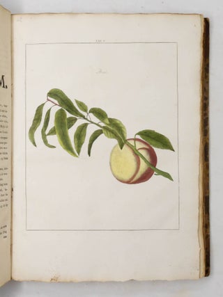 Pomologia, dat is Beschryvingen en Afbeeldingen van de beste sorten van Appels en Peeren... WITH Fructologia, of Beschryving derVrugtbomen en Vrugten... WITH Dendrologia, or Beschryving der Plantagie-Gewassen...