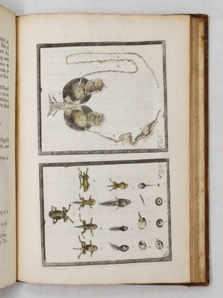 A Philosophical Account of the Works of Nature. Endeavouring to set forth the several Gradations Remarkable in the Mineral, Vegetable, and Animal Parts of the Creation. Tending the Composition of a Scale of Life...