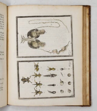 A Philosophical Account of the Works of Nature. Endeavouring to set forth the several Gradations Remarkable in the Mineral, Vegetable, and Animal Parts of the Creation. Tending the Composition of a Scale of Life...