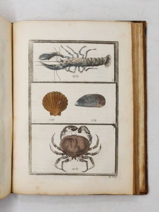 A Philosophical Account of the Works of Nature. Endeavouring to set forth the several Gradations Remarkable in the Mineral, Vegetable, and Animal Parts of the Creation. Tending the Composition of a Scale of Life...