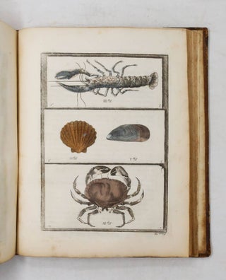A Philosophical Account of the Works of Nature. Endeavouring to set forth the several Gradations Remarkable in the Mineral, Vegetable, and Animal Parts of the Creation. Tending the Composition of a Scale of Life...