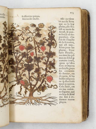 Herbarum ac stirpium historia Leonharti Fuchsii una cũ Græcis, Latinis, & Galicis nominibus. Additis nonnulis hactenus non impreßis. Histoire des plantes de M. Leonhart Fuchsius, avec les noms Grecs, Latins & Frãcoys.