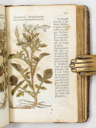 Herbarum ac stirpium historia Leonharti Fuchsii una cũ Græcis, Latinis, & Galicis nominibus. Additis nonnulis hactenus non impreßis. Histoire des plantes de M. Leonhart Fuchsius, avec les noms Grecs, Latins & Frãcoys.