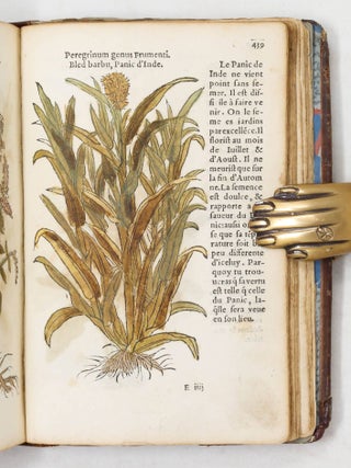 Herbarum ac stirpium historia Leonharti Fuchsii una cũ Græcis, Latinis, & Galicis nominibus. Additis nonnulis hactenus non impreßis. Histoire des plantes de M. Leonhart Fuchsius, avec les noms Grecs, Latins & Frãcoys.