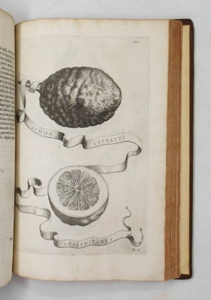 Hesperides sive de malorum aureorum cultura et usu. Libri Quatuor.