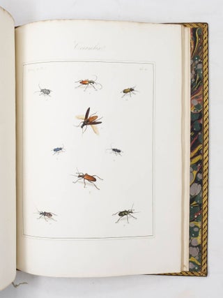 The English Entomologist, exhibiting All the Coleopterous Insects found in England; including upwards of 500 Different Species... arranged and named according to the Linnean System