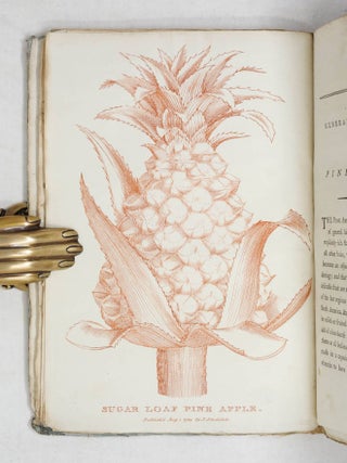 The Hot-House Gardener or the General Culture of the Pine-Apple, and methods of forcing Early Grapes, Peaches, Nectarines, and other choice fruits, in Hot-Houses, Vineries, Fruit-Houses, Hot-Walls, &c. With directions for raising Melons and Early Strawberries