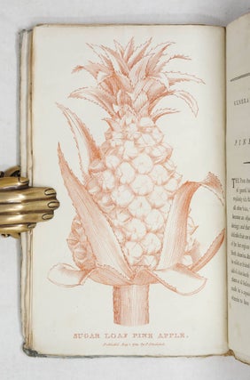 The Hot-House Gardener or the General Culture of the Pine-Apple, and methods of forcing Early Grapes, Peaches, Nectarines, and other choice fruits, in Hot-Houses, Vineries, Fruit-Houses, Hot-Walls, &c. With directions for raising Melons and Early Strawberries