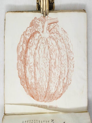 The Hot-House Gardener or the General Culture of the Pine-Apple, and methods of forcing Early Grapes, Peaches, Nectarines, and other choice fruits, in Hot-Houses, Vineries, Fruit-Houses, Hot-Walls, &c. With directions for raising Melons and Early Strawberries