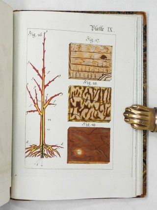 Versuch einer vollst&auml;ndigen Geschichte vorz&uuml;glicher Holzarten in systematischen Abhandlungen zur Erweiterung der Naturkunde und Forsthaushaltungs-Wissenschaft
