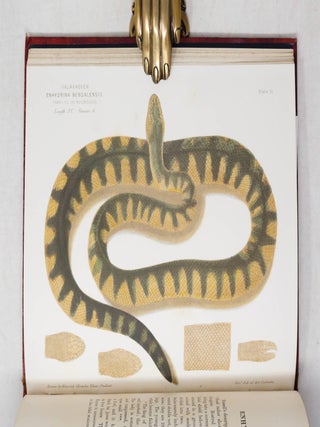 The Poisonous Snakes of India. For the use of the officials and others residing in the Indian Empire