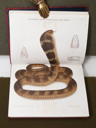 The Poisonous Snakes of India. For the use of the officials and others residing in the Indian Empire