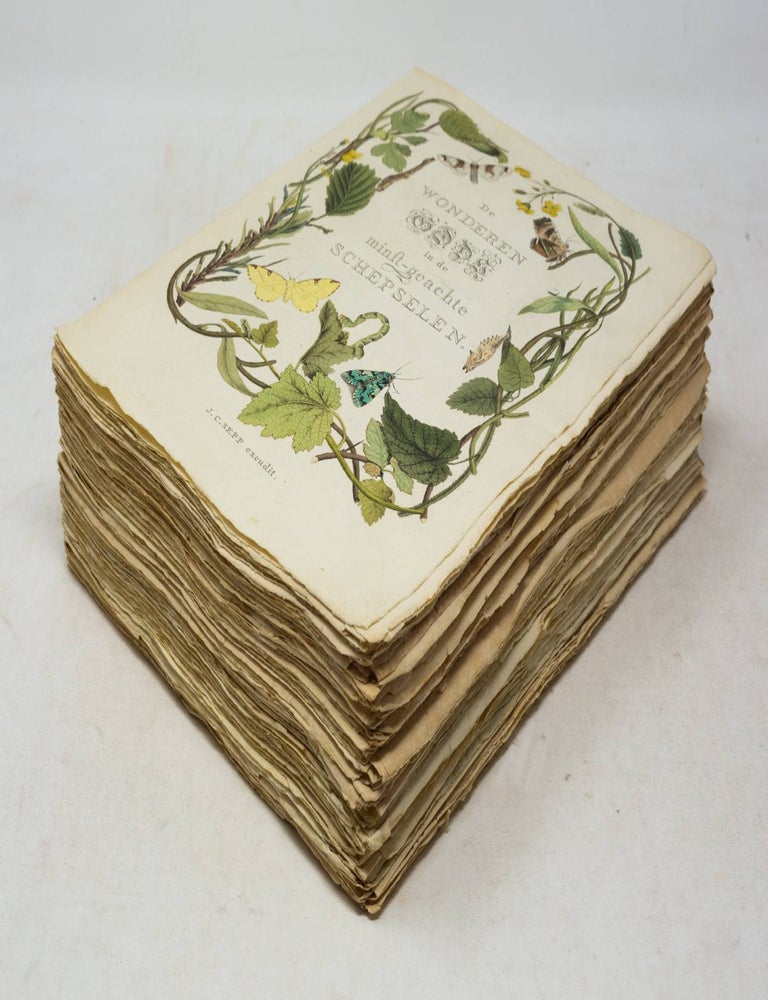 Beschouwing der Wonderen Gods, in de minstgeachte Schepzelen. Of Nederlandsche Insecten, In hunne. Christiaan Sepp, Jan Christiaan.