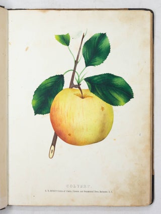 The Colored Fruit Book: for the use of Nurserymen, containing accurate Specimens of Colored Fruits and Flowers carefully drawn and colored from nature, and designed to represent a medium and fair size of each particular fruit. It has been the design of the Publisher of this Series of Colored Fruit Plates, to place before the purchaser of Fruit Trees as faithful a representation of the Fruit as it is possible to make by the Process adopted