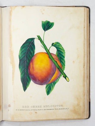 The Colored Fruit Book: for the use of Nurserymen, containing accurate Specimens of Colored Fruits and Flowers carefully drawn and colored from nature, and designed to represent a medium and fair size of each particular fruit. It has been the design of the Publisher of this Series of Colored Fruit Plates, to place before the purchaser of Fruit Trees as faithful a representation of the Fruit as it is possible to make by the Process adopted