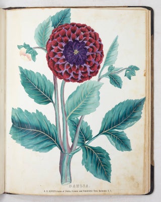 The Colored Fruit Book: for the use of Nurserymen, containing accurate Specimens of Colored Fruits and Flowers carefully drawn and colored from nature, and designed to represent a medium and fair size of each particular fruit. It has been the design of the Publisher of this Series of Colored Fruit Plates, to place before the purchaser of Fruit Trees as faithful a representation of the Fruit as it is possible to make by the Process adopted