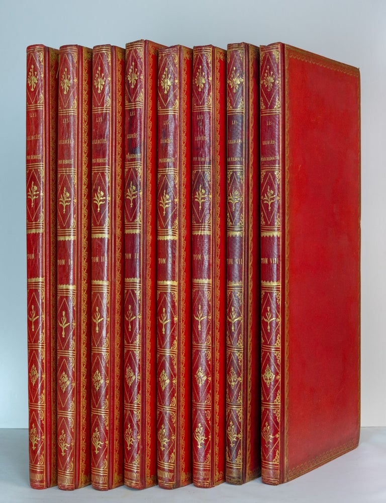 Les Liliac&eacute;es; par P.J. Redout&eacute;. Pierre-Joseph Redout&eacute;, Augustin-Pyramus de, illust.