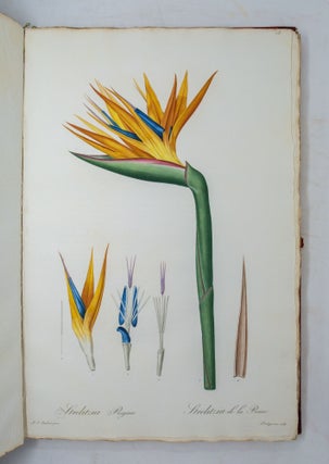 Les Liliacées; par P.J. Redouté