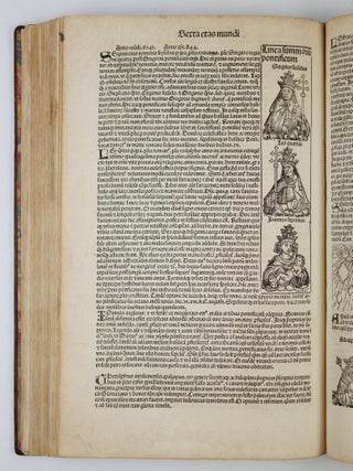 Liber cronicarum