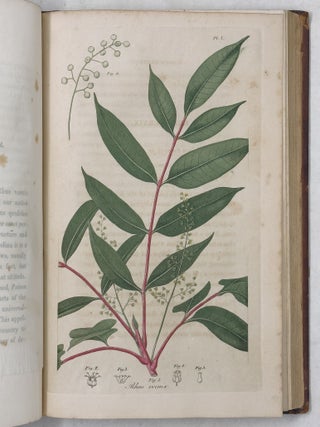 American Medical Botany,