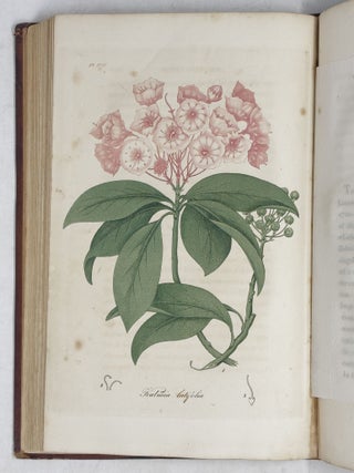 American Medical Botany,