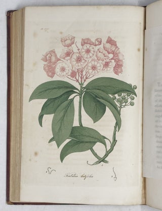 American Medical Botany,