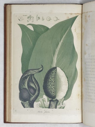 American Medical Botany,